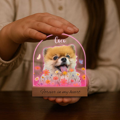 Personalized Pet Memorial Night Light: Custom Photo Lamp