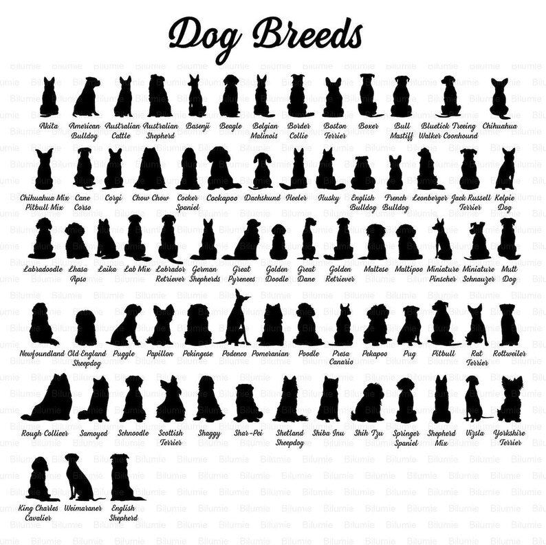 Custom Dog Memorial Hologram Ornament, Pet Memorial Gift, Dog Loss Gift, Pet Loss Sympathy Gift, Loss Of Pet Gift, Dog Lover Gift