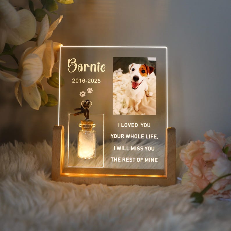 Personalized Pet Photo Memorial Night Light With Pet Fur Storage : Dog Cat Loss Sympathy Gifts