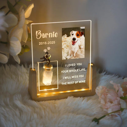 Personalized Pet Photo Memorial Night Light With Pet Fur Storage : Dog Cat Loss Sympathy Gifts