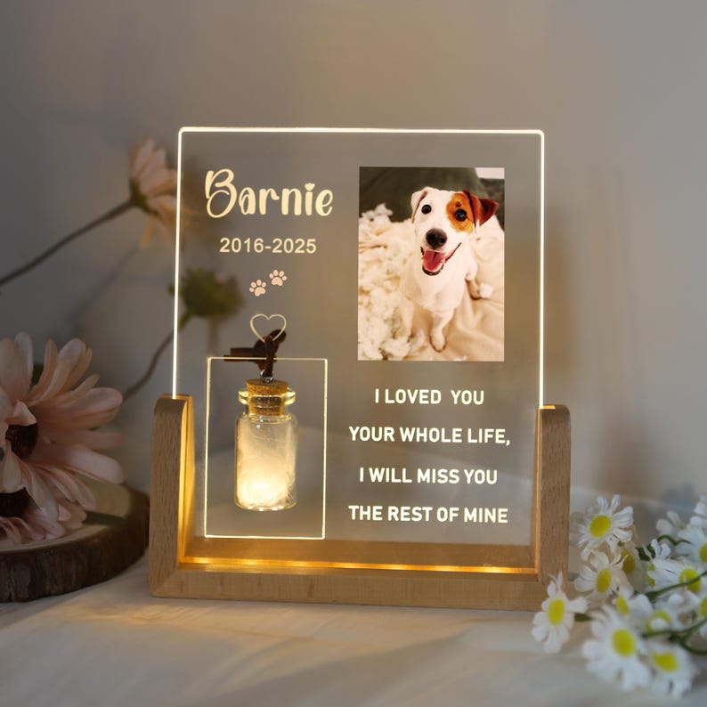 Personalized Pet Photo Memorial Night Light With Pet Fur Storage : Dog Cat Loss Sympathy Gifts