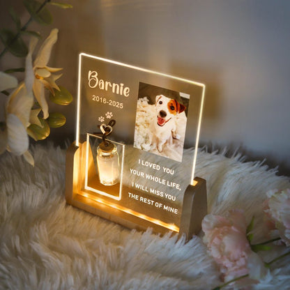 Personalized Pet Photo Memorial Night Light With Pet Fur Storage : Dog Cat Loss Sympathy Gifts