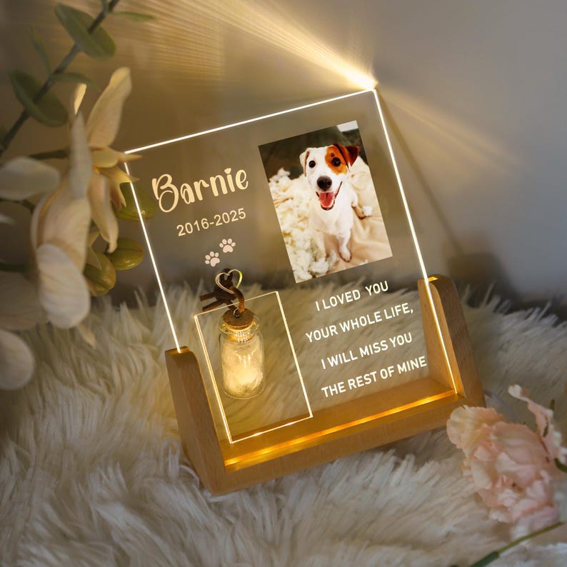 Personalized Pet Photo Memorial Night Light With Pet Fur Storage : Dog Cat Loss Sympathy Gifts