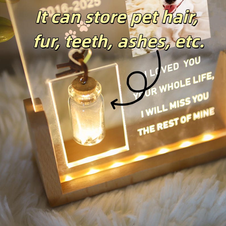 Personalized Pet Photo Memorial Night Light With Pet Fur Storage : Dog Cat Loss Sympathy Gifts