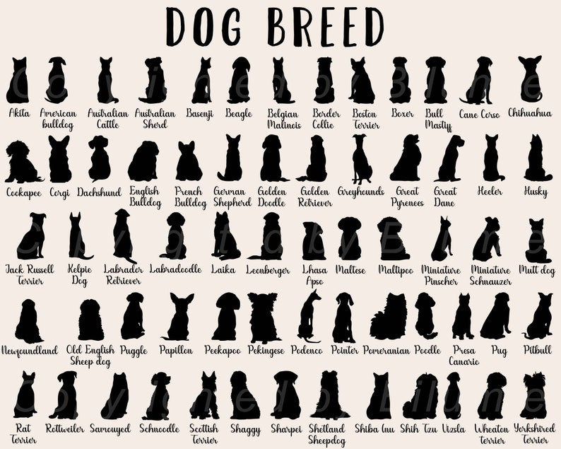 Custom Pet Loss Hologram Ornament, Dog Memorial Gift, Pet Loss Sympathy Gift, Cat Memorial Ornament, Pet Lover Gift, Loss Of Pet Gift