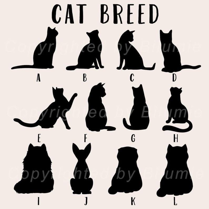 Custom Pet Loss Hologram Ornament, Dog Memorial Gift, Pet Loss Sympathy Gift, Cat Memorial Ornament, Pet Lover Gift, Loss Of Pet Gift