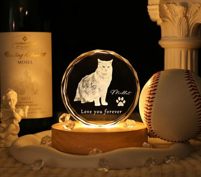 Personalized Custom 3D Crystal Pet Memorial Photo Engraved Night Light,Pet Memorial Gift Night Light,Gifts in Memory of a Deceased Animal