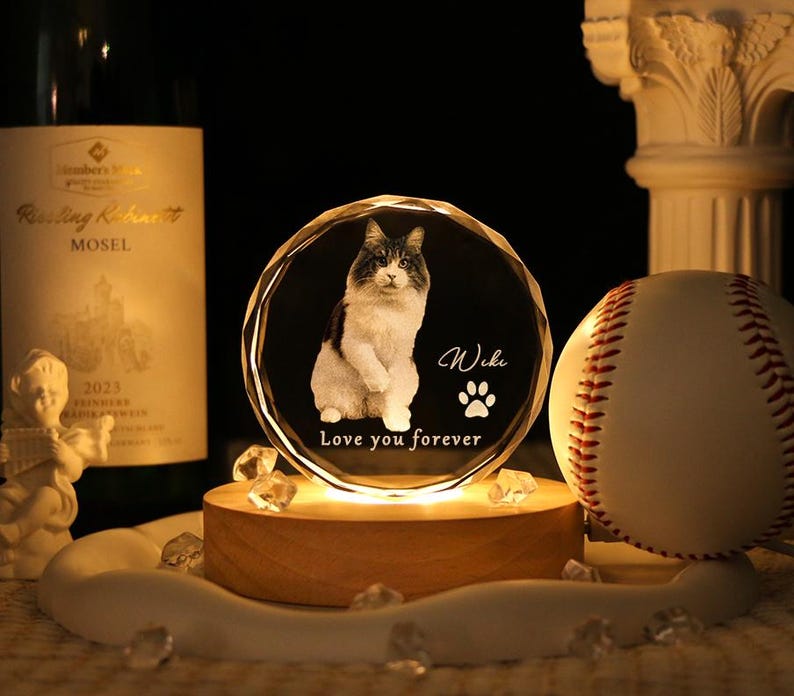 Personalized Custom 3D Crystal Pet Memorial Photo Engraved Night Light,Pet Memorial Gift Night Light,Gifts in Memory of a Deceased Animal