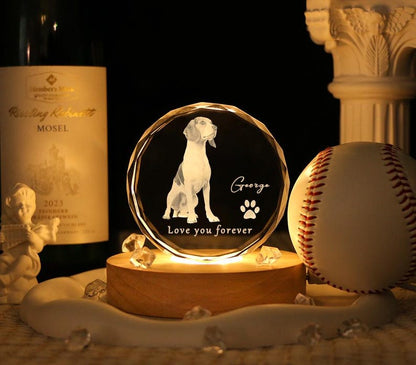 Personalized Custom 3D Crystal Pet Memorial Photo Engraved Night Light,Pet Memorial Gift Night Light,Gifts in Memory of a Deceased Animal