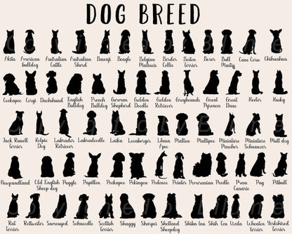 Custom Pet Memorial Hologram Ornament, Dog Memorial Gift, Pet Loss Sympathy Gift, Cat Lover Gift, Pet Remembrance Gift, Loss Of Pet Gift