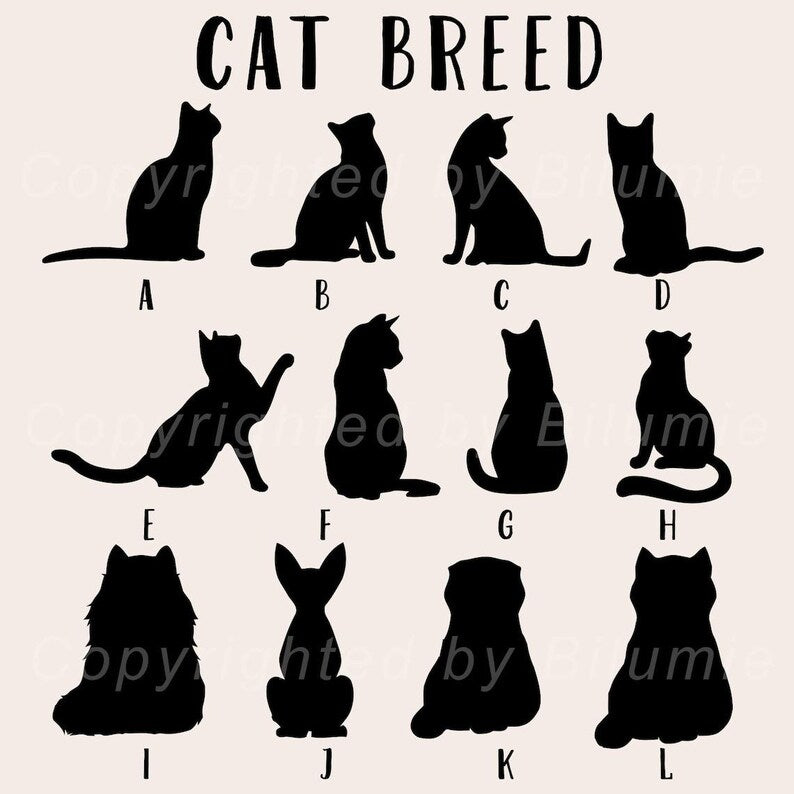 Custom Pet Memorial Hologram Ornament, Dog Memorial Gift, Pet Loss Sympathy Gift, Cat Lover Gift, Pet Remembrance Gift, Loss Of Pet Gift