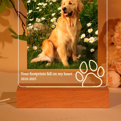 Pet Memorial Plaque,Pet LED Night Light,Custom Photo Pet Lover Night Light,Dog Keepsake Sign,Pet Loss Light Up Sign,Loss of Dog Cat,Pet Lamp