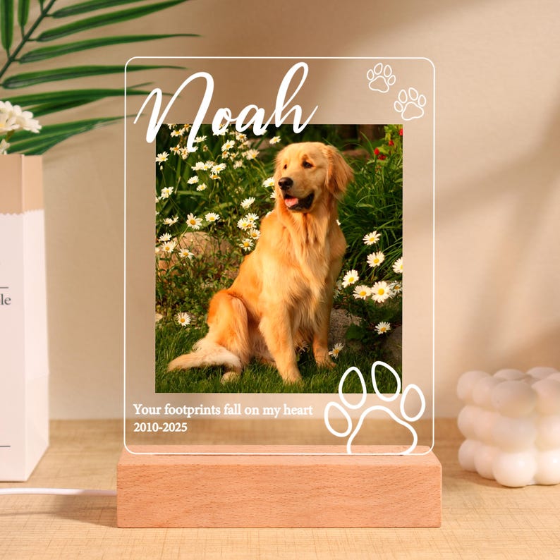 Pet Memorial Plaque,Pet LED Night Light,Custom Photo Pet Lover Night Light,Dog Keepsake Sign,Pet Loss Light Up Sign,Loss of Dog Cat,Pet Lamp