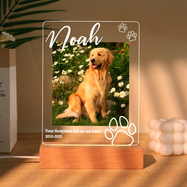 Pet Memorial Plaque,Pet LED Night Light,Custom Photo Pet Lover Night Light,Dog Keepsake Sign,Pet Loss Light Up Sign,Loss of Dog Cat,Pet Lamp