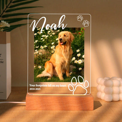 Pet Memorial Plaque,Pet LED Night Light,Custom Photo Pet Lover Night Light,Dog Keepsake Sign,Pet Loss Light Up Sign,Loss of Dog Cat,Pet Lamp