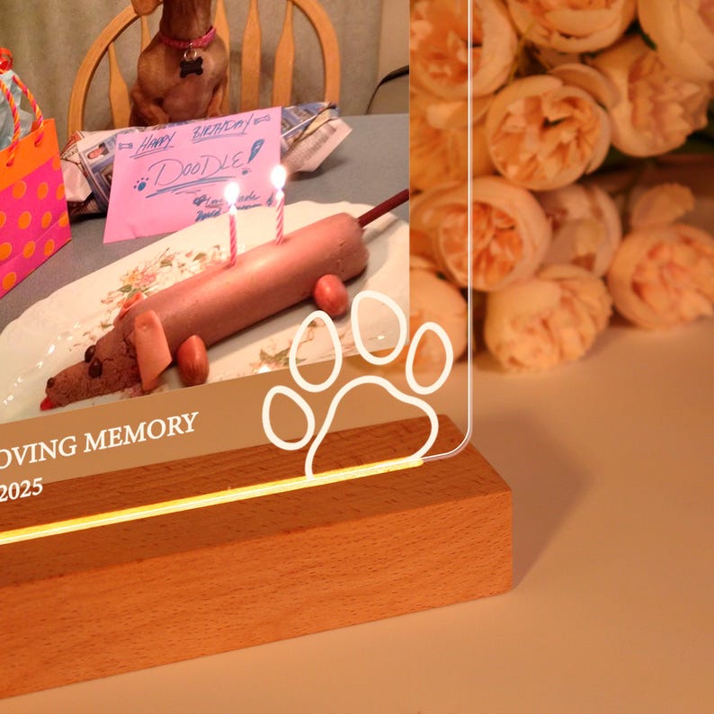 Pet Memorial Plaque,Pet LED Night Light,Custom Photo Pet Lover Night Light,Dog Keepsake Sign,Pet Loss Light Up Sign,Loss of Dog Cat,Pet Lamp