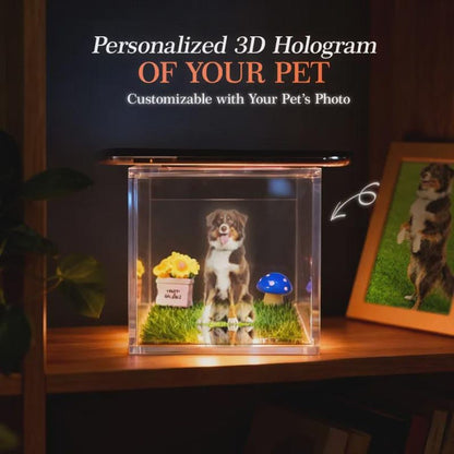 Custom Pet Holographic Digital House with Name and Dates, Personalized Memorial Acrylic Light Display