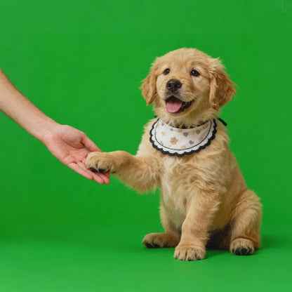 Custom Pet Holographic Digital House with Name and Dates, Personalized Memorial Acrylic Light Display