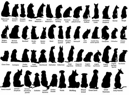 Personalized Dogs Memorial Suncatcher, Dog Memorial Gift, Loss of Dogs Gift, Dog Loss Gift, Dog Sympathy Gift, Dog Suncatcher