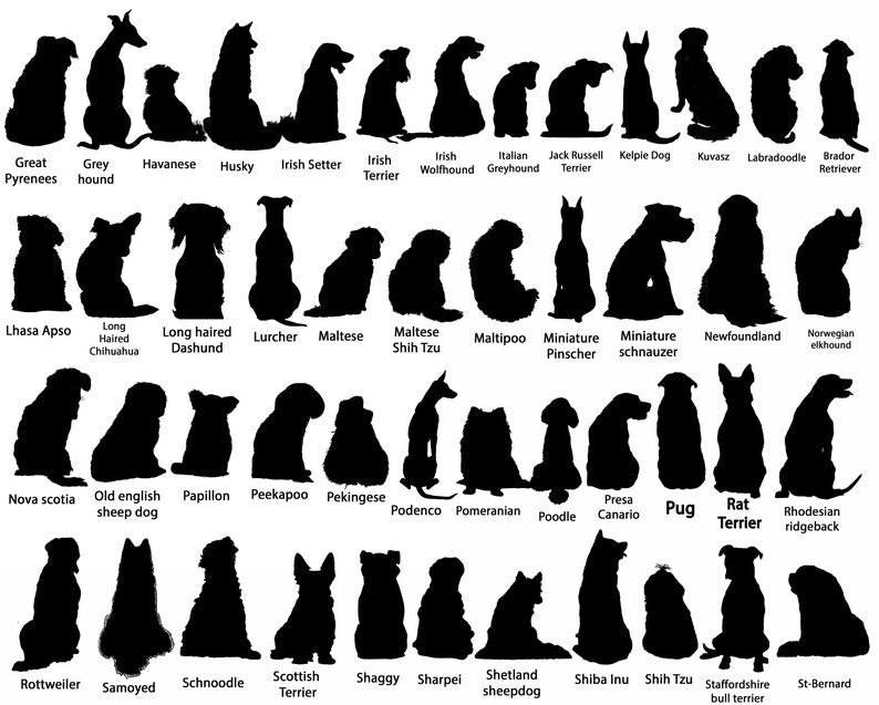 Personalized Dogs Memorial Suncatcher, Dog Memorial Gift, Loss of Dogs Gift, Dog Loss Gift, Dog Sympathy Gift, Dog Suncatcher