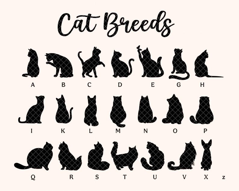 Personalized Cat Loss Sympathy Gift, Pet Memorial Suncatcher, Cat Memorial Gift, Loss of Cat Gift, Cat Remembrance Gift, Window Hanging