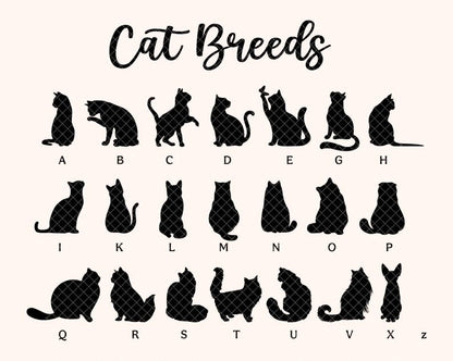 Personalized Cat Loss Sympathy Gift, Pet Memorial Suncatcher, Cat Memorial Gift, Loss of Cat Gift, Cat Remembrance Gift, Window Hanging