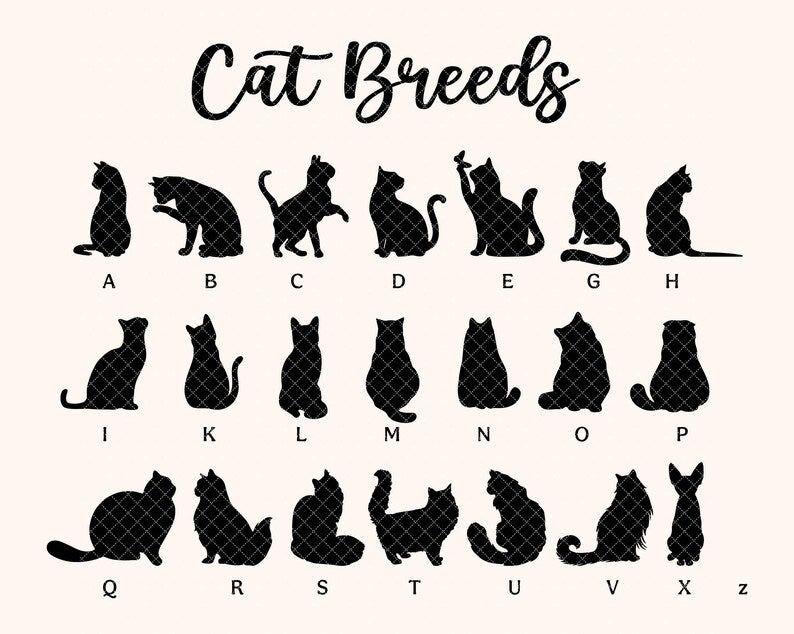 Custom Cat Loss Hologram Ornament, Pet Memorial Ornament, Cat Lover Gift, Pet Loss Sympathy Gift, Cat Remembrance Gift, Pet Owner Gift