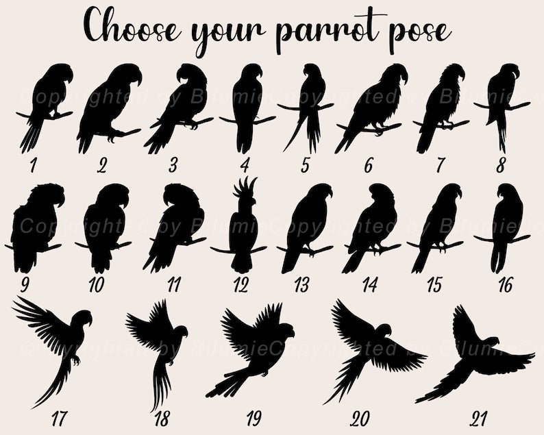 Personalized Birds Memorial Suncatcher, Parrot Suncatcher, Bird Lovers Gift, Bird Loss Gift, Loss Of Pet Gift, Pet Loss Sympathy Gift