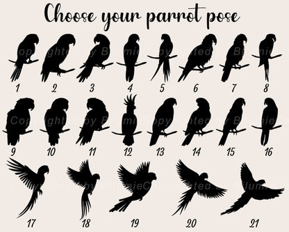 Personalized Birds Memorial Suncatcher, Parrot Suncatcher, Bird Lovers Gift, Bird Loss Gift, Loss Of Pet Gift, Pet Loss Sympathy Gift