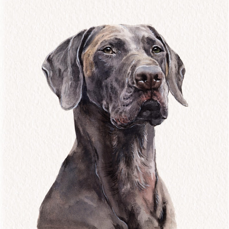 Custom Watercolor Portraits,Using Pet Photo,Personalized Digital Dog Portraits,Cat Portraits,Custom Dog Portraits,Custom Pet Memorial Art