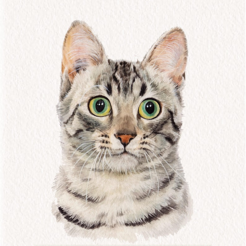 Custom Watercolor Portraits,Using Pet Photo,Personalized Digital Dog Portraits,Cat Portraits,Custom Dog Portraits,Custom Pet Memorial Art