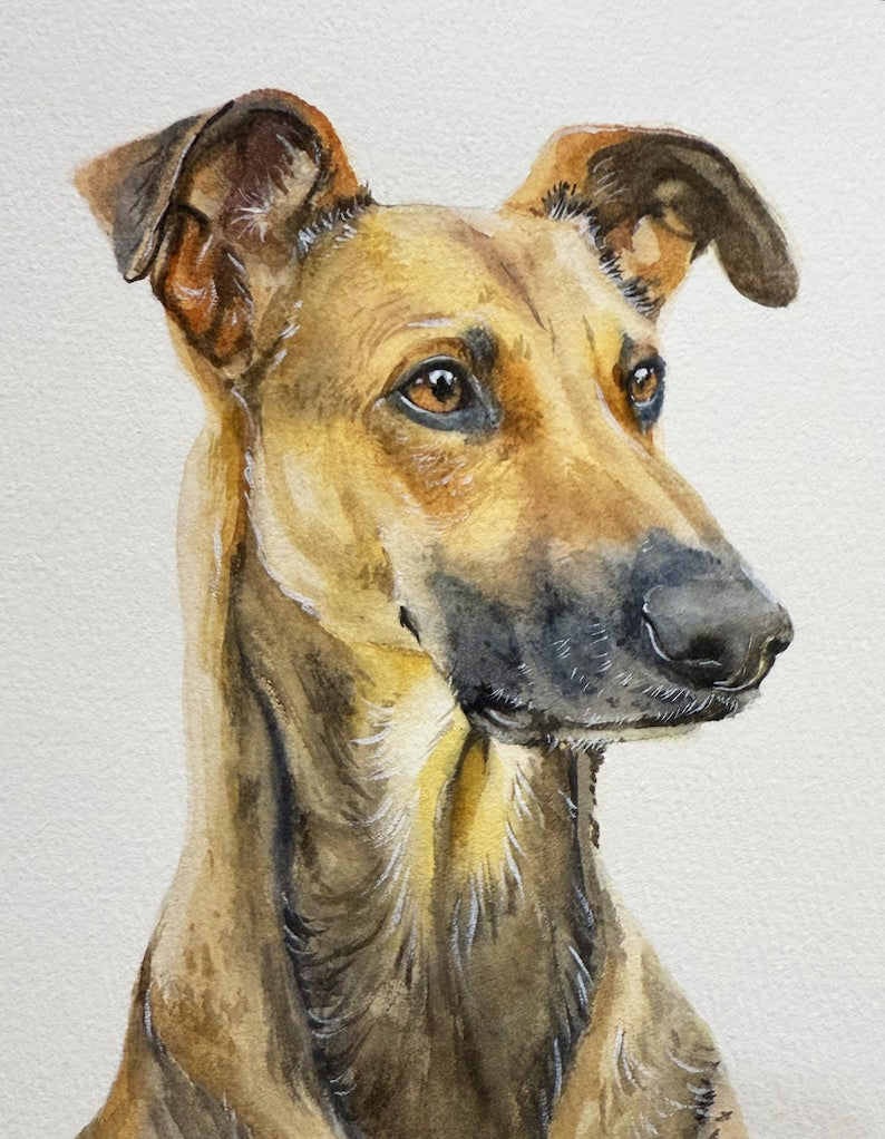 Custom Watercolor Portraits,Using Pet Photo,Personalized Digital Dog Portraits,Cat Portraits,Custom Dog Portraits,Custom Pet Memorial Art