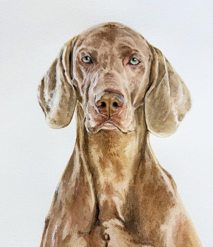 Custom Watercolor Portraits,Using Pet Photo,Personalized Digital Dog Portraits,Cat Portraits,Custom Dog Portraits,Custom Pet Memorial Art