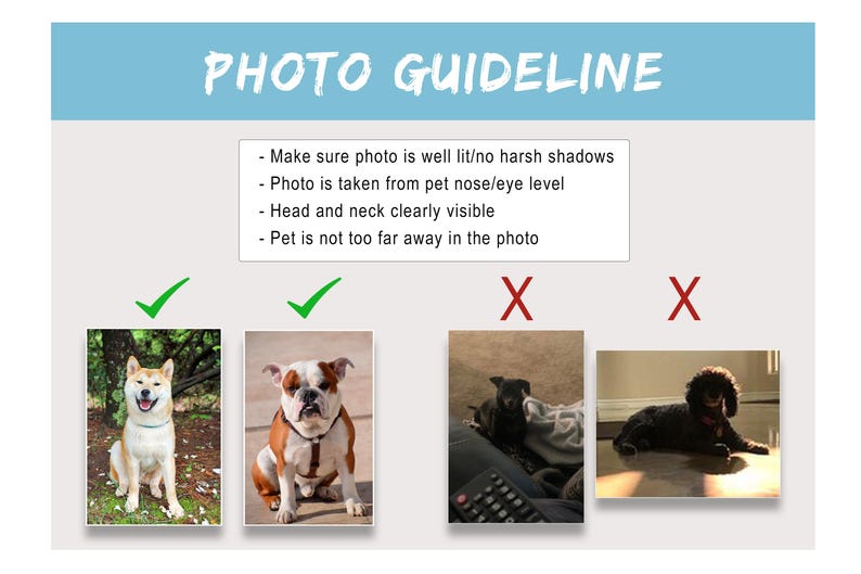 Custom Pet Portrait: Watercolor Dog, Cat, and Animal Art from Photo