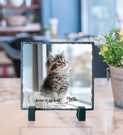 Personalized Pet Memorial Photo Slate Stone: Cat Loss Gift