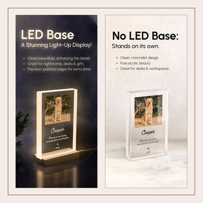 Personalized Night Light | Pet Memorial Plaque, Acrylic Photo Block, Dog Sympathy Gift | P02