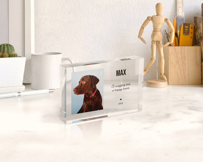 Personalized Night Light | Pet Memorial Plaque, Acrylic Photo Block, Dog Sympathy Gift | P02