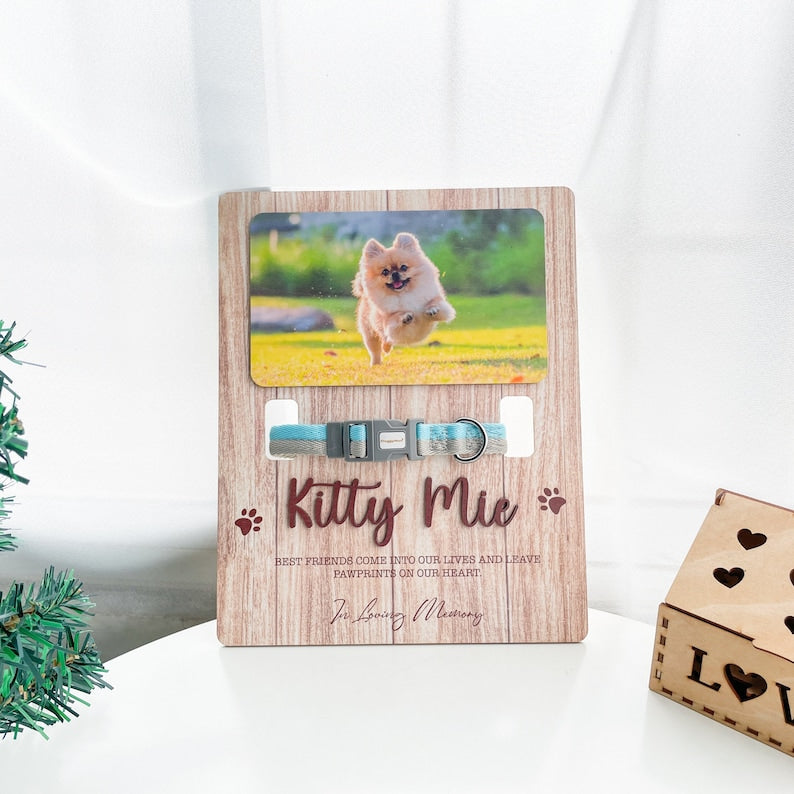Pet memorial frame, Pet Collar Holder, Pet Sympathy, In Loving Memory, Pet Loss Frame, Cat Memorial Gift, Pet Memorial Gift MP08