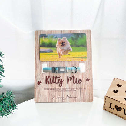 Pet memorial frame, Pet Collar Holder, Pet Sympathy, In Loving Memory, Pet Loss Frame, Cat Memorial Gift, Pet Memorial Gift MP08