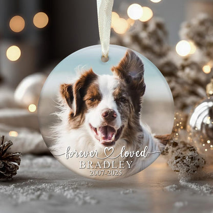 Personalized Pet Memorial Photo Ornament: Dog Sympathy Gift