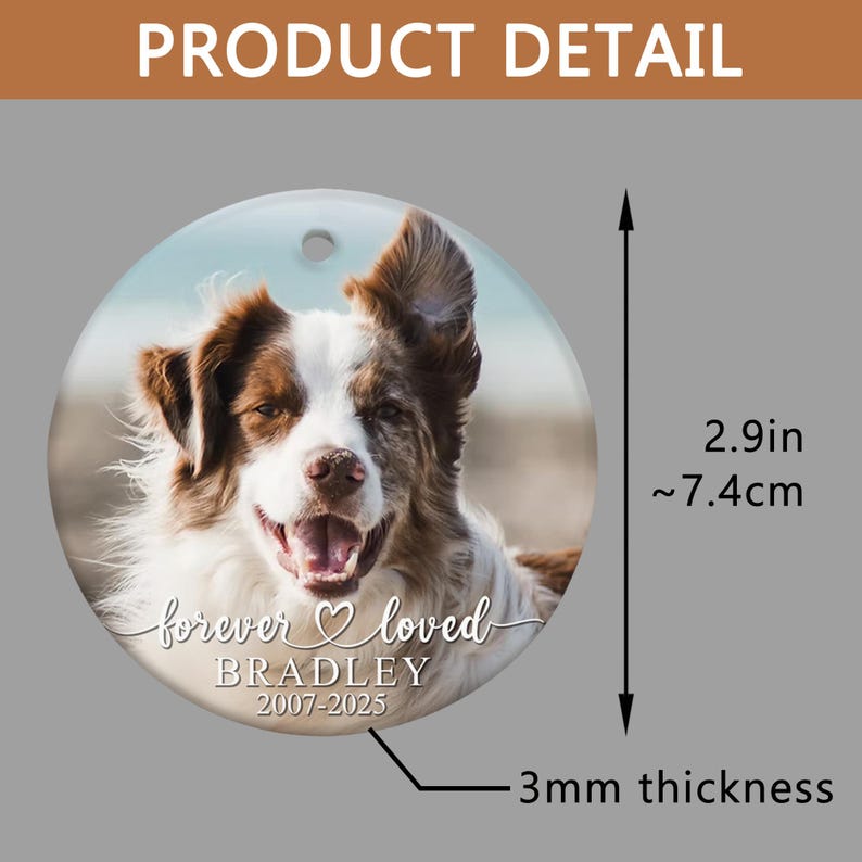 Personalized Pet Memorial Photo Ornament: Dog Sympathy Gift
