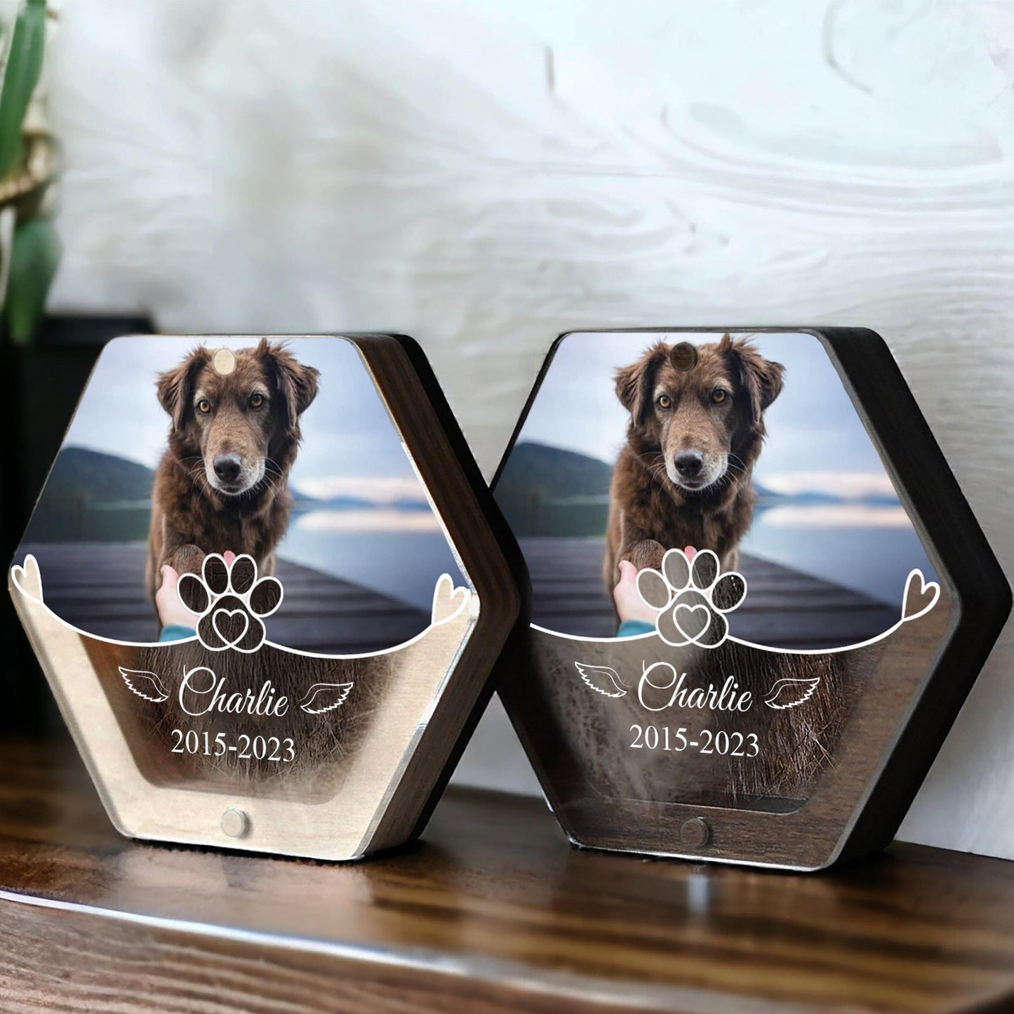 Custom Pet Memorial Photo Box – Personalized Fur Keepsake, Dog Loss Gift with Picture, Name & Fur Holder