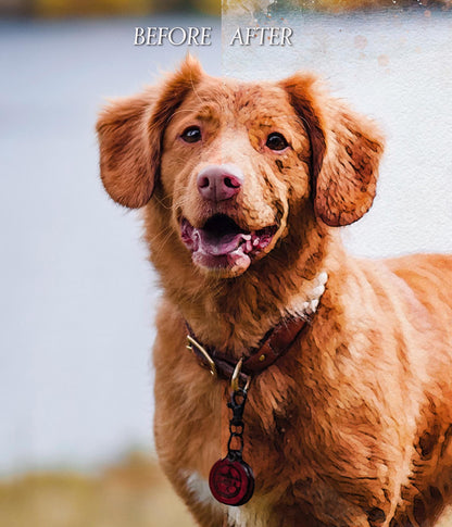 Custom Dog Portrait from Photo – Pet Wall Art Poster or Canvas