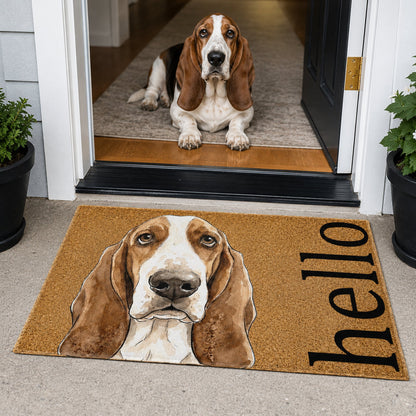 Custom Pet Portrait Funny Doormat Watercolor Art - Personalized Doormat V2