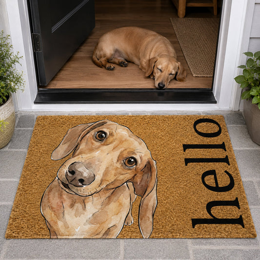 Custom Pet Portrait Funny Doormat Watercolor Art - Personalized Doormat V2
