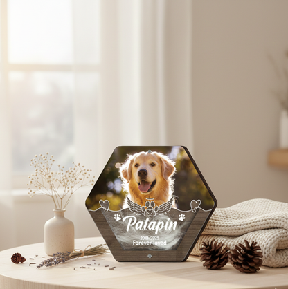 Custom Dog Hair Memorial Storage Box, Loss Of Dog Acrylic Box Pet Portrait Picture, Cat Fur Keepsake, Pet Tooth Memorial Gift, Pet Memorial