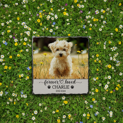 Personalized Pet Memorial Stone: Custom Photo Rock Slate