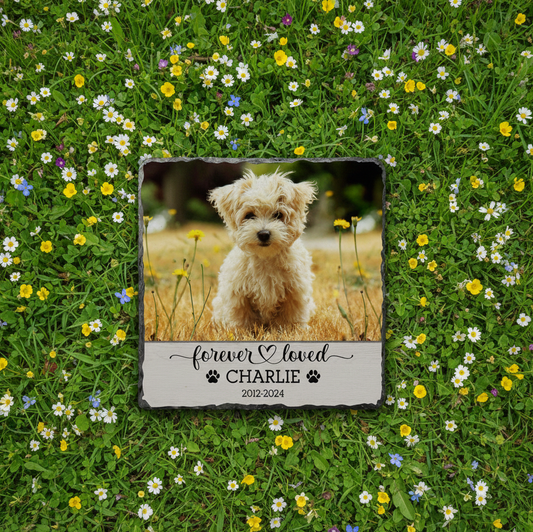 Personalized Pet Memorial Stone: Custom Photo Rock Slate