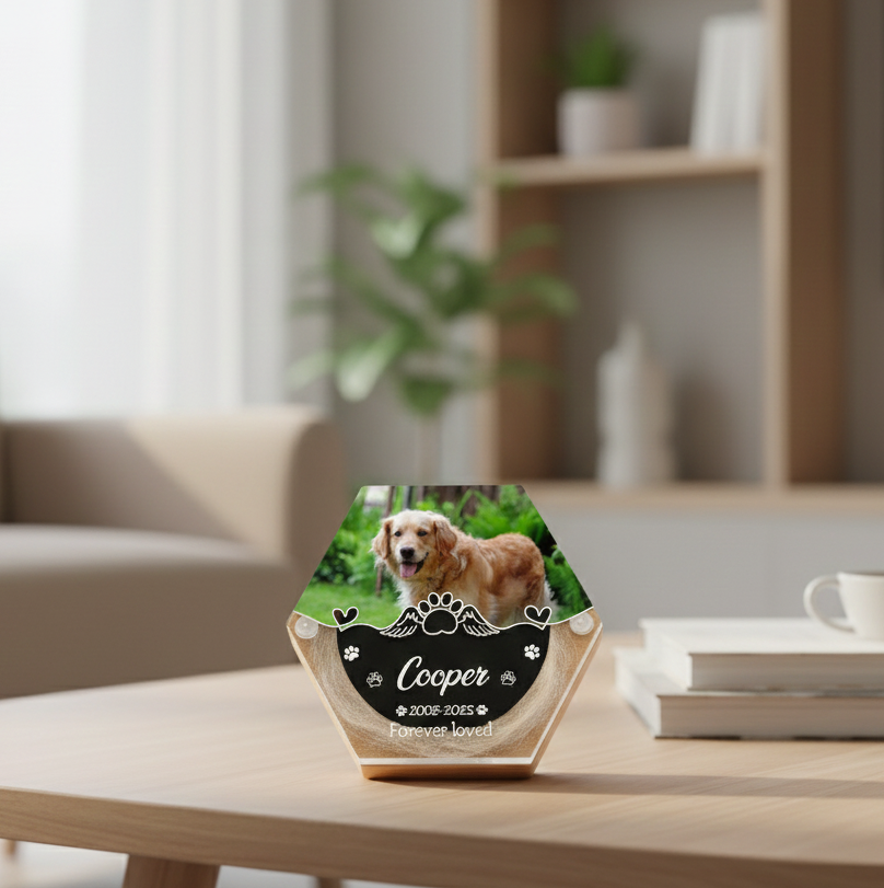 Pet Hair Keepsake Box,Custom Pet Fur Box,Dog Teeth Memorial Gift,Personalized Pet Remembrance Gift,Acrylic Box With Pet Picture,Cat Memorial