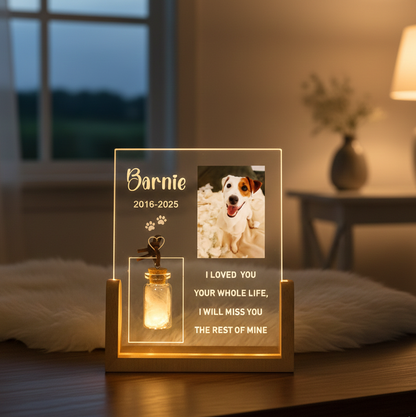 Personalized Pet Photo Memorial Night Light With Pet Fur Storage : Dog Cat Loss Sympathy Gifts